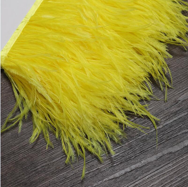 13-18CM 6M Lông Đà Điểu Viền D - đánh giá và giá Feather Trim Marabou